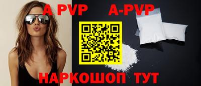 эйфоретик Кингисепп