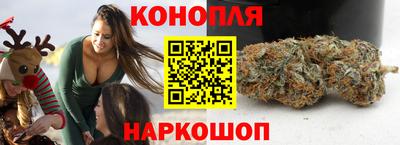 гашик Кимры