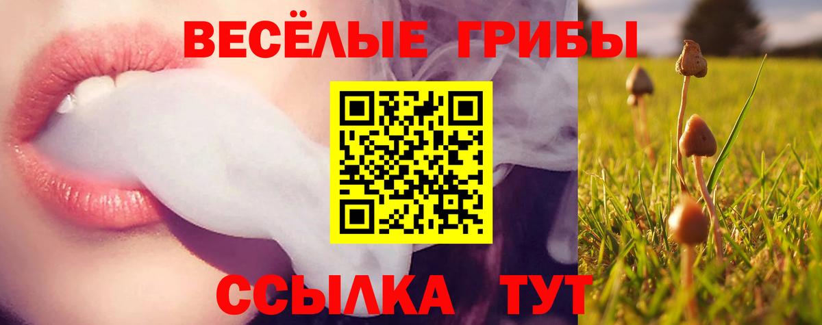 Галлюциногенные грибы GOLDEN TEACHER Богородск